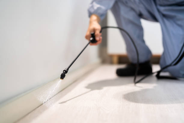 Licensed Termite Control service in Davidson, NC - Nex Pest Control