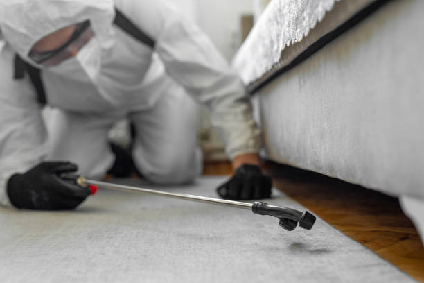 Professional Termite Control technician working in Davidson, NC