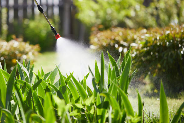 24/7 Emergency Termite Control experts in Davidson, NC