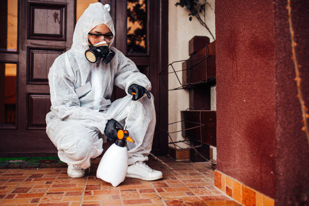 Reliable Termite Control contractor in Davidson, NC by Nex Pest Control