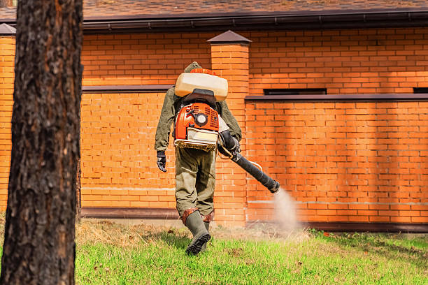 Top rated local Termite Control specialists in Davidson, NC